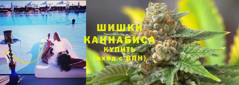 где купить наркоту  Елабуга  shop клад  Бошки Шишки гибрид 